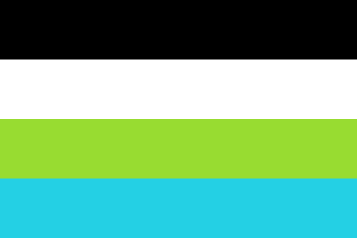 Image: Flag with four equal horizontal stripes: 
                Black, white, yellow green, blue.