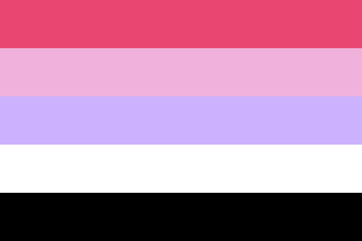 Image: Flag with five equal horizontal stripes: 
                Dark pink, light pink, lavender, white, black.